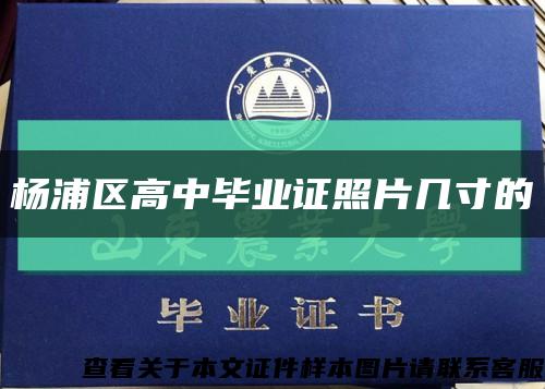 杨浦区高中毕业证照片几寸的缩略图