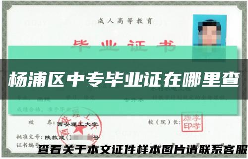 杨浦区中专毕业证在哪里查缩略图