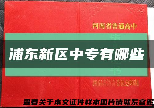 浦东新区中专有哪些缩略图