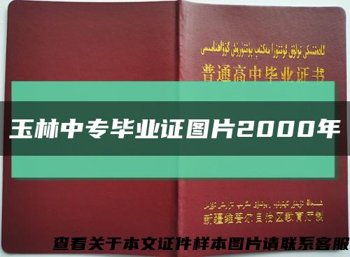 玉林中专毕业证图片2000年缩略图