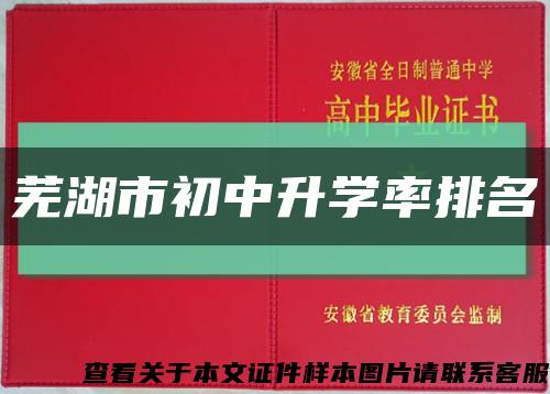 芜湖市初中升学率排名缩略图