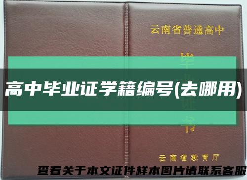 高中毕业证学籍编号(去哪用)缩略图