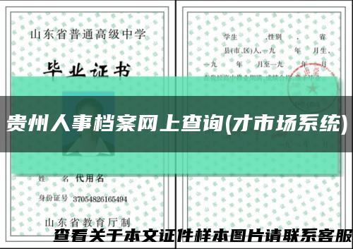 贵州人事档案网上查询(才市场系统)缩略图