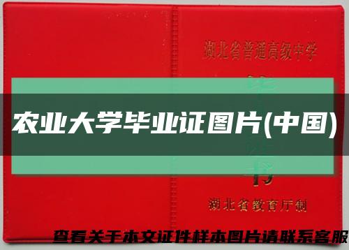 农业大学毕业证图片(中国)缩略图