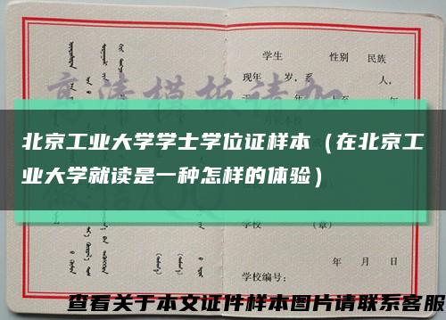 北京工业大学学士学位证样本（在北京工业大学就读是一种怎样的体验）缩略图