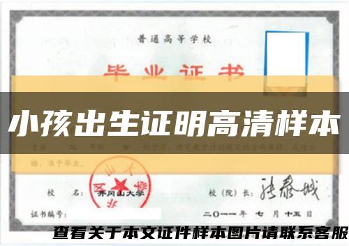 小孩出生证明高清样本缩略图