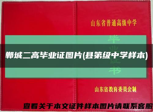 郸城二高毕业证图片(县第级中学样本)缩略图