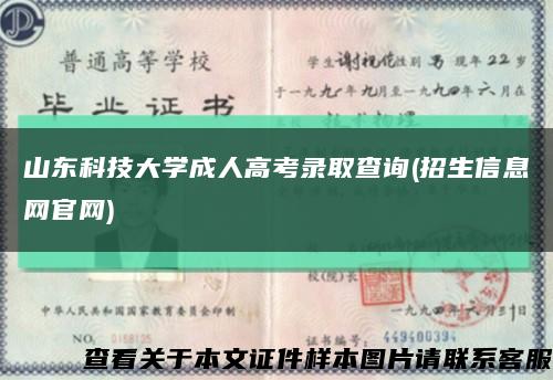 山东科技大学成人高考录取查询(招生信息网官网)缩略图