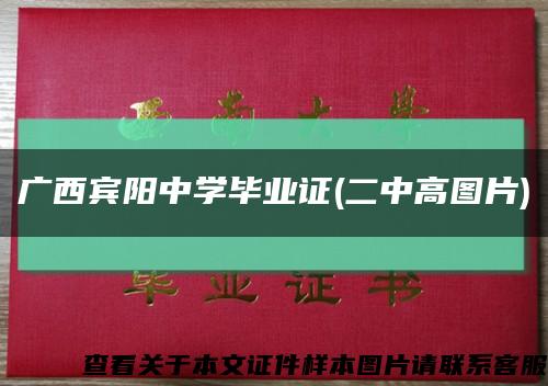 广西宾阳中学毕业证(二中高图片)缩略图