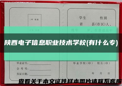 陕西电子信息职业技术学校(有什么专)缩略图