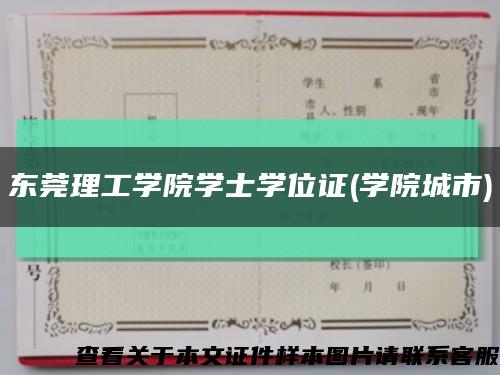 东莞理工学院学士学位证(学院城市)缩略图