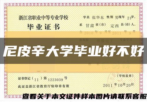 尼皮辛大学毕业好不好缩略图