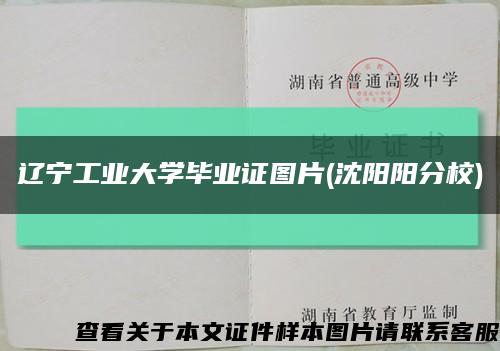 辽宁工业大学毕业证图片(沈阳阳分校)缩略图