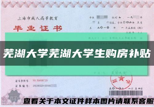 芜湖大学芜湖大学生购房补贴缩略图