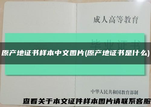 原产地证书样本中文图片(原产地证书是什么)缩略图