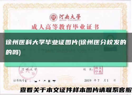 徐州医科大学毕业证图片(徐州医分校发的的吗)缩略图
