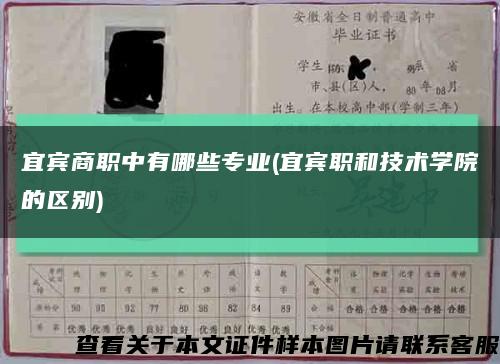 宜宾商职中有哪些专业(宜宾职和技术学院的区别)缩略图