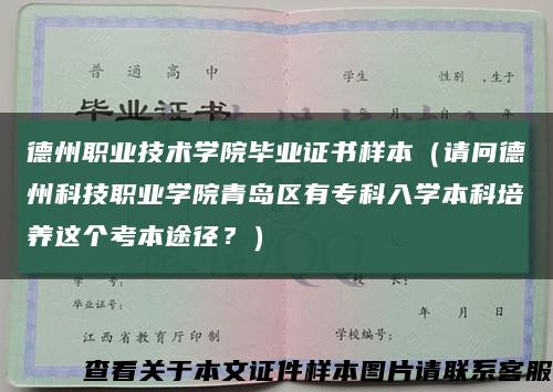 德州职业技术学院毕业证书样本（请问德州科技职业学院青岛区有专科入学本科培养这个考本途径？）缩略图
