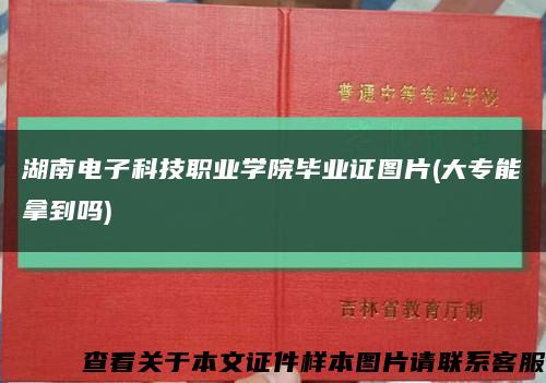 湖南电子科技职业学院毕业证图片(大专能拿到吗)缩略图