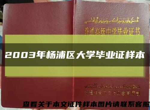 2003年杨浦区大学毕业证样本缩略图