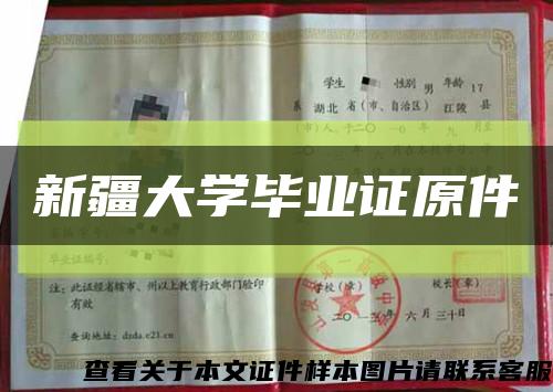 新疆大学毕业证原件缩略图