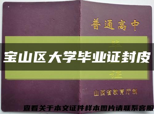 宝山区大学毕业证封皮缩略图