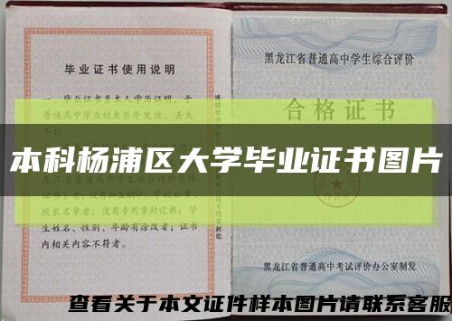 本科杨浦区大学毕业证书图片缩略图