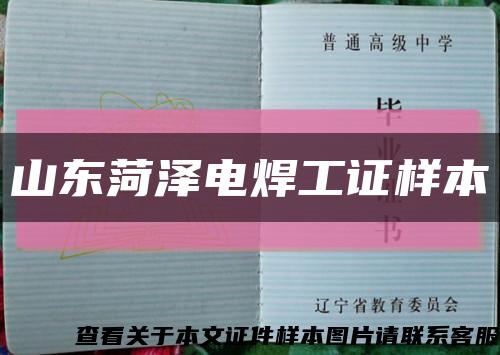 山东菏泽电焊工证样本缩略图