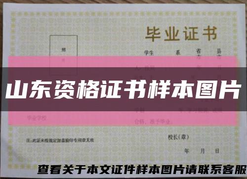 山东资格证书样本图片缩略图