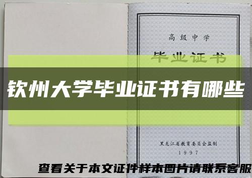 钦州大学毕业证书有哪些缩略图