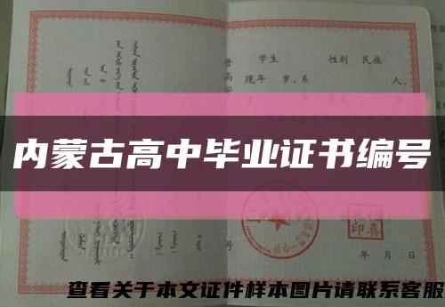 内蒙古高中毕业证书编号缩略图