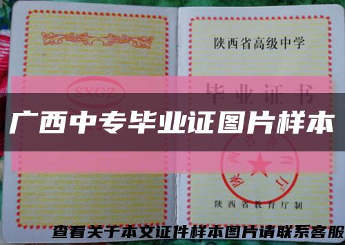广西中专毕业证图片样本缩略图