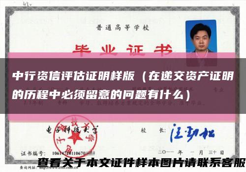 中行资信评估证明样版（在递交资产证明的历程中必须留意的问题有什么）缩略图