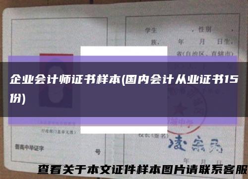 企业会计师证书样本(国内会计从业证书15份)缩略图