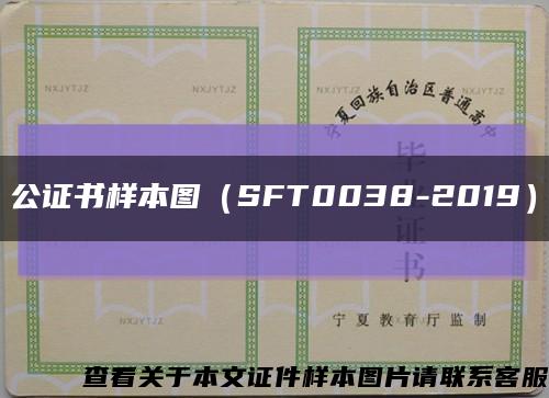 公证书样本图（SFT0038-2019）缩略图