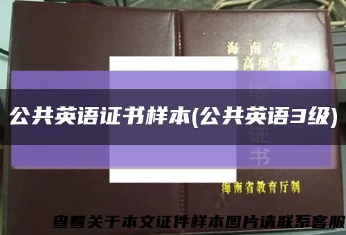 公共英语证书样本(公共英语3级)缩略图