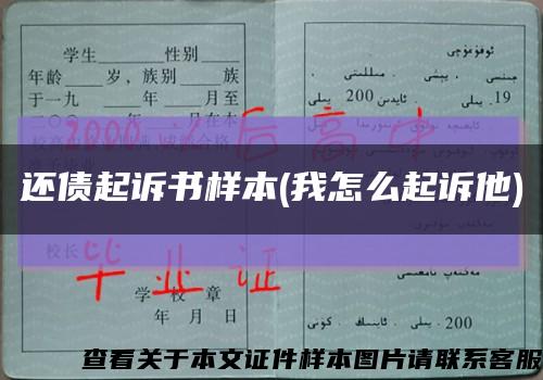 还债起诉书样本(我怎么起诉他)缩略图