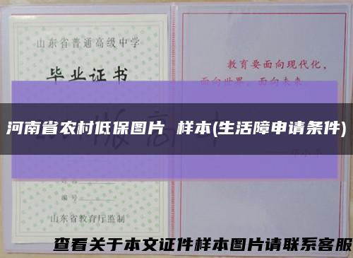 河南省农村低保图片 样本(生活障申请条件)缩略图