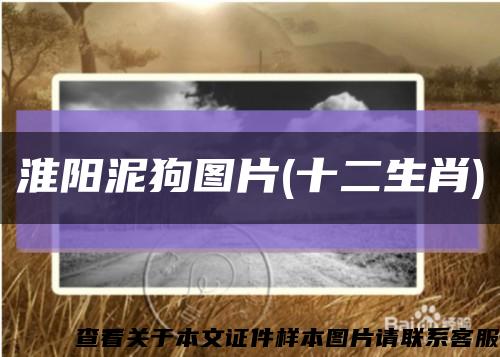 淮阳泥狗图片(十二生肖)缩略图