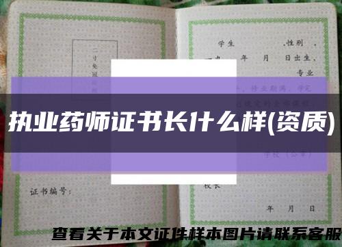 执业药师证书长什么样(资质)缩略图