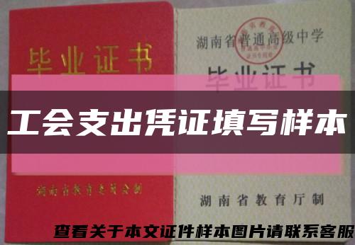 工会支出凭证填写样本缩略图