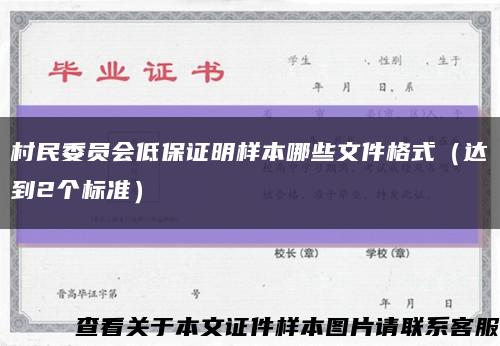 村民委员会低保证明样本哪些文件格式（达到2个标准）缩略图