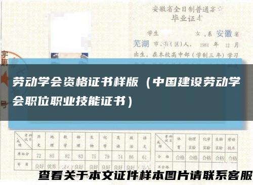 劳动学会资格证书样版（中国建设劳动学会职位职业技能证书）缩略图