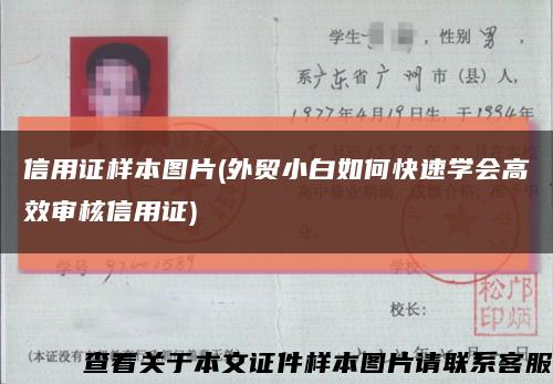 信用证样本图片(外贸小白如何快速学会高效审核信用证)缩略图