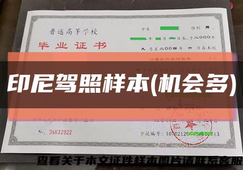 印尼驾照样本(机会多)缩略图