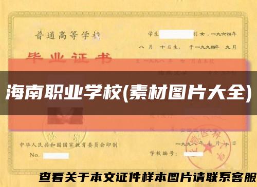 海南职业学校(素材图片大全)缩略图