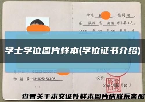 学士学位图片样本(学位证书介绍)缩略图