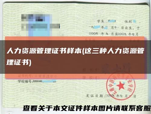 人力资源管理证书样本(这三种人力资源管理证书)缩略图