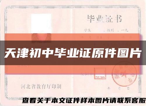 天津初中毕业证原件图片缩略图