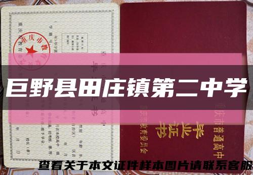 巨野县田庄镇第二中学缩略图